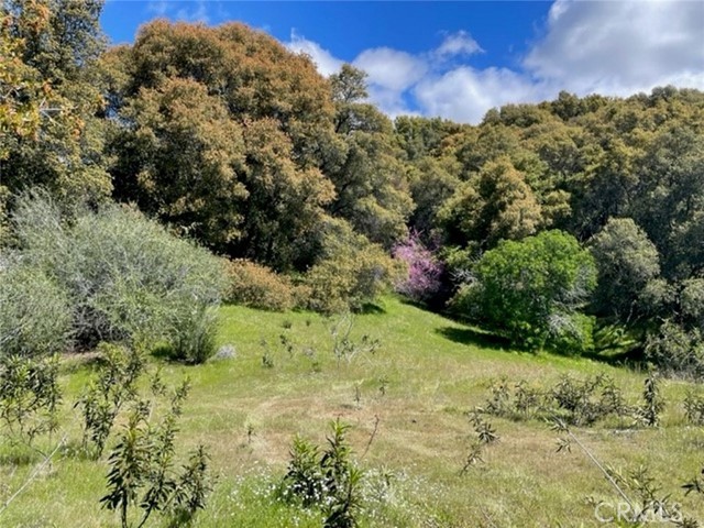 Detail Gallery Image 7 of 14 For 0 77.73 Ac Two Hills Rd, North Fork,  CA 93643 - – Beds | – Baths
