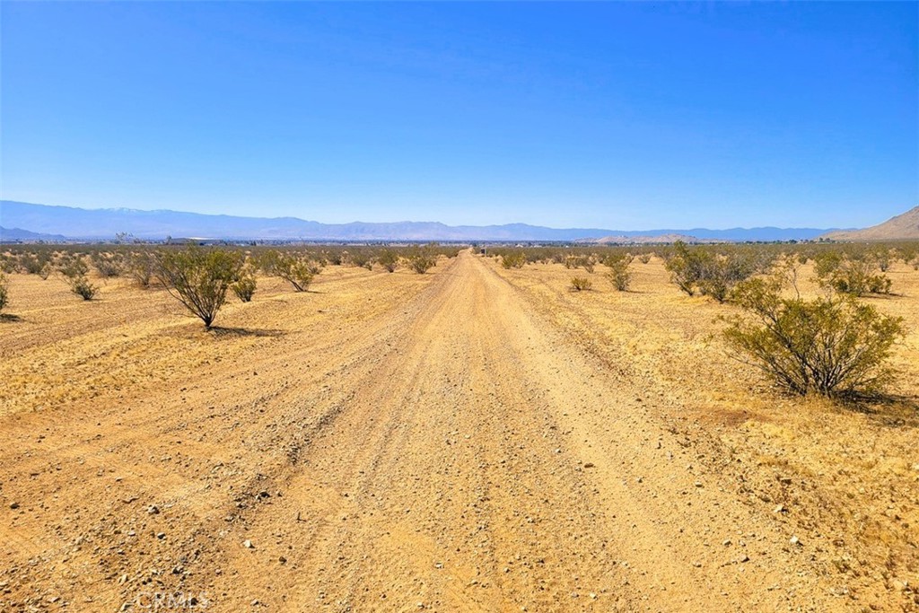 MLS #HD25090973 image #13