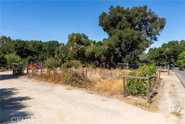 2480 Ardilla Road, Atascadero CA: https://media.crmls.org/medias/5e2acda3-80e9-404f-b6ab-eb382f36312c.jpg