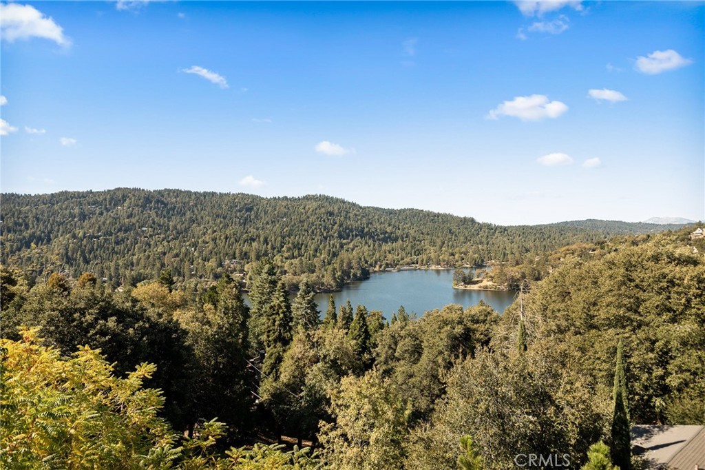 MLS #IG25237795 image #6