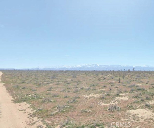 Front Image Thumbnail for CRSR25263813