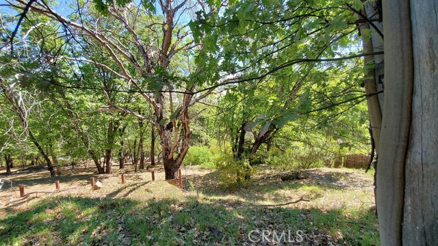 Detail Gallery Image 11 of 12 For 11890 Loch Lomond, Loch Lomond,  CA 95461 - – Beds | – Baths