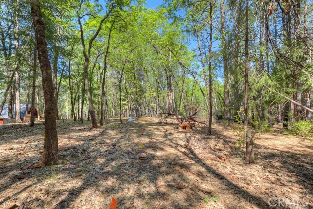 Detail Gallery Image 31 of 44 For 14565 Coutolenc Rd, Magalia,  CA 95954 - 3 Beds | 2 Baths