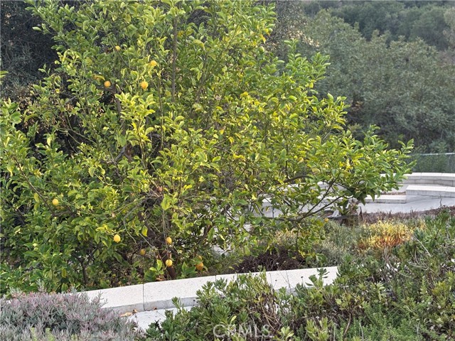 Detail Gallery Image 45 of 50 For 21614 Fairwind Ln, Diamond Bar,  CA 91765 - 4 Beds | 2 Baths