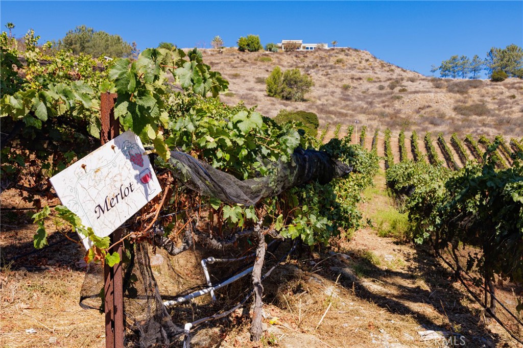 MLS #OC25023879 image #69