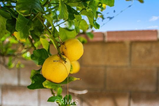 https://media.crmls.org/medias/5e50b07e-4072-42f1-b05a-f1e00952555a.jpg?preset=X-Large