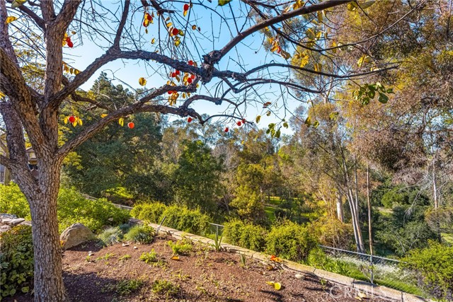 Detail Gallery Image 39 of 62 For 2927 Treeview Pl, Fullerton,  CA 92886 - 4 Beds | 2/1 Baths