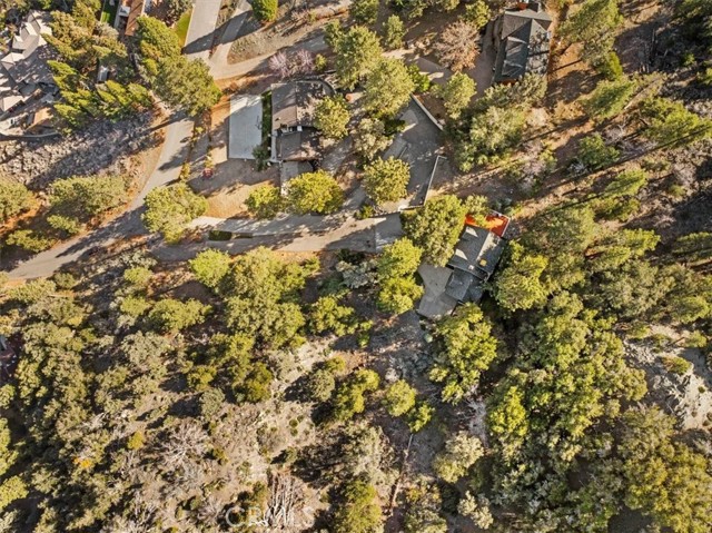 Detail Gallery Image 48 of 48 For 1764 Ash, Wrightwood,  CA 92397 - 4 Beds | 2/1 Baths