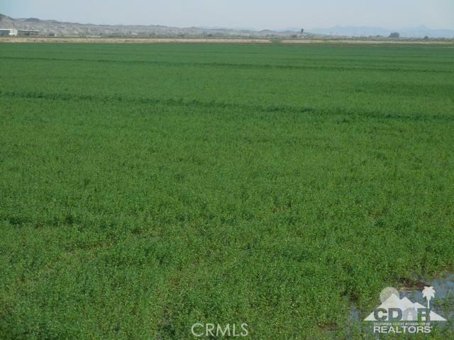 MLS #216029032DA image #11