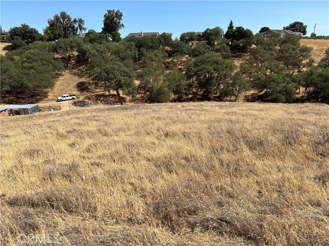 0 Pepper Tree Way, Paso Robles CA: https://media.crmls.org/medias/5e5df2d0-8fc9-4baa-9846-57d8a5a83710.jpg