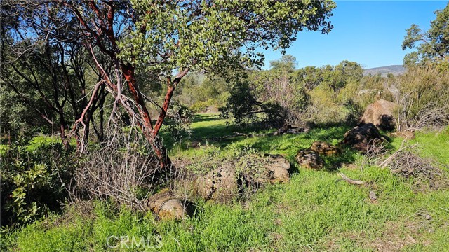 Detail Gallery Image 3 of 3 For 3631 Eureka Ave, Clearlake,  CA 95422 - – Beds | – Baths