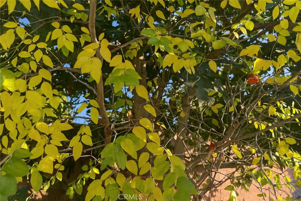 https://media.crmls.org/medias/5e6cfd98-7faf-469c-8b5b-9ba6aefdb6cf.jpg?preset=X-Large