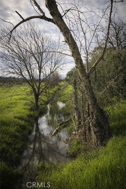 Detail Gallery Image 5 of 9 For 3781 Columbia, Corning,  CA 96021 - – Beds | – Baths