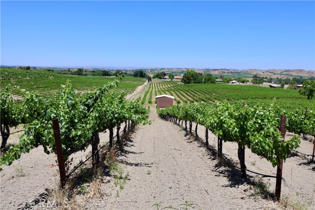5575 El Pomar Drive, Templeton CA: https://media.crmls.org/medias/5e6e0770-a43d-4c65-aaf9-e53224ec4926.jpg