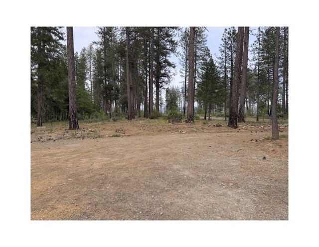 Detail Gallery Image 33 of 44 For 14565 Coutolenc Rd, Magalia,  CA 95954 - 3 Beds | 2 Baths