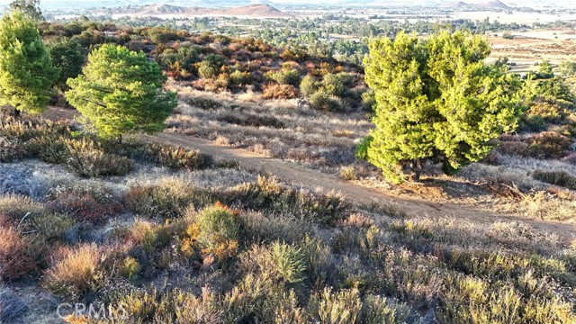 31355 Wild Lilac, Menifee CA: https://media.crmls.org/medias/5e7cac7a-dc9e-4996-8827-e8f6b617aab7.jpg