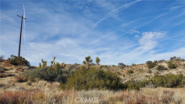 MLS #SR25242278 image #12