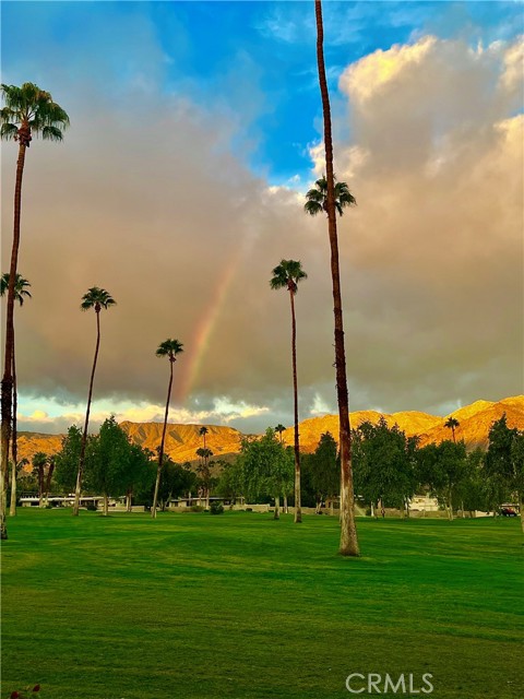 46125 Burroweed Ln., Palm Desert CA: https://media.crmls.org/medias/5e887693-0496-4640-a470-ab24615ced30.jpg