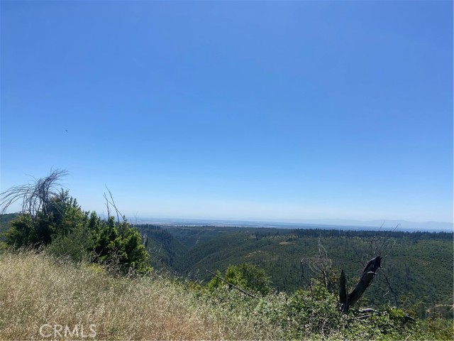 Detail Gallery Image 2 of 7 For 3510 Stone Mountain Rd, Oroville,  CA 95965 - – Beds | – Baths