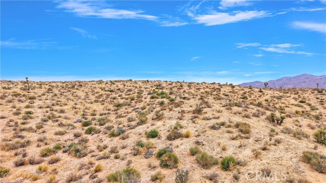 24575 Ocotillo Way, Apple Valley CA: https://media.crmls.org/medias/5e901e95-4774-4de4-9a30-e2c187882d3b.jpg