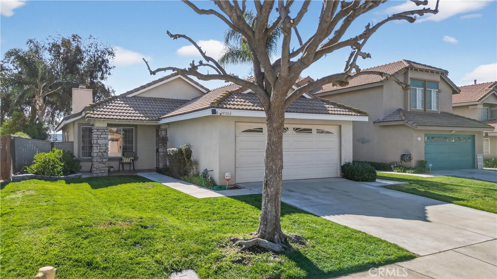 24003 Whistling Swan