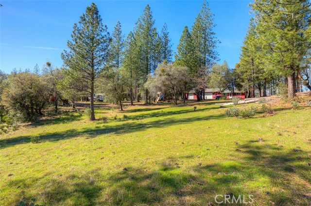 Detail Gallery Image 35 of 52 For 179 Elams Ranch, Oroville,  CA 95966 - 1 Beds | 1 Baths