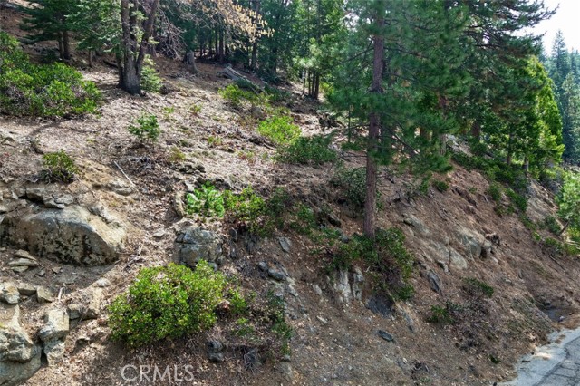 Detail Gallery Image 22 of 24 For 7486 Henness Ridge, Yosemite,  CA 95389 - – Beds | – Baths