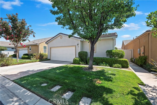 Detail Gallery Image 18 of 25 For 117 Paint Creek, Beaumont,  CA 92223 - 2 Beds | 2 Baths