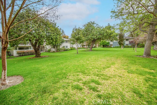 224 Avenida Majorca, Laguna Woods CA: https://media.crmls.org/medias/5ea52910-0ba8-460d-a7aa-90be3496d7a7.jpg