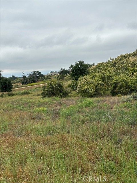 0 Schramm Trail, Hemet, California 92544, ,Land,For Sale,0 Schramm Trail,CRSW23096642