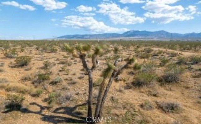 Detail Gallery Image 16 of 21 For 10 171st, Palmdale,  CA 93591 - – Beds | – Baths