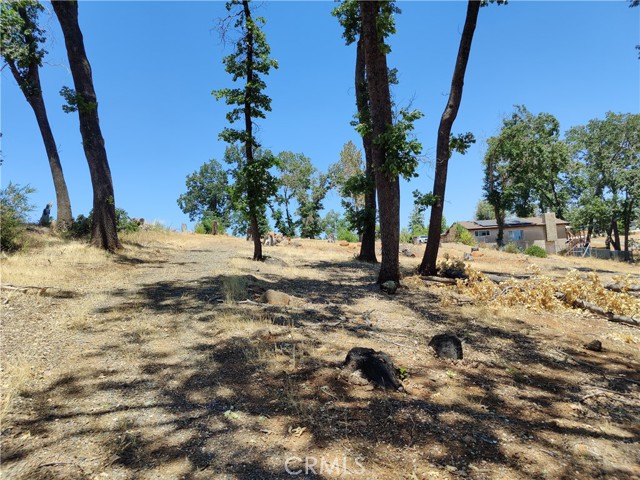 476 Green Oaks Drive, Paradise, California 95969, ,Land,For Sale,476 Green Oaks Drive,CRSN24010118