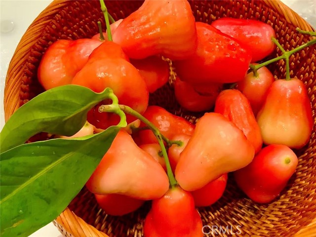 Detail Gallery Image 21 of 39 For Address Is Not Disclosed, Gardena,  CA 90249 - 5 Beds | 4 Baths