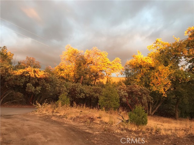 Detail Gallery Image 32 of 41 For 39468 Summit Dr, Oakhurst,  CA 93644 - 4 Beds | 3 Baths