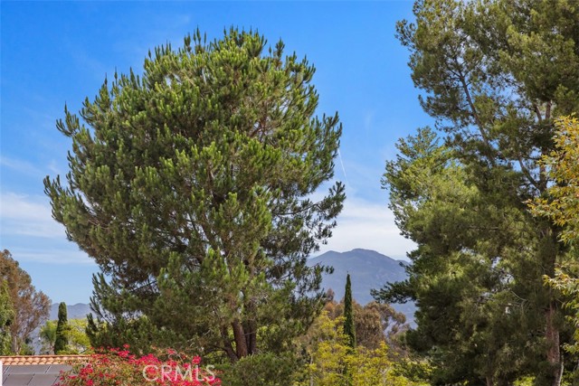 22182 Platino, Mission Viejo CA: https://media.crmls.org/medias/5ebd144a-aae8-4672-b7af-50db11798d26.jpg