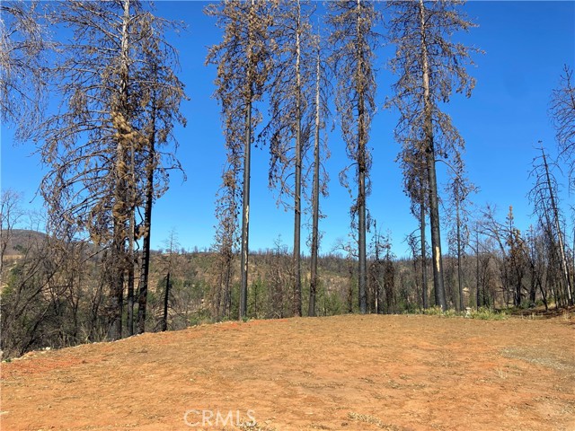 3154 Wild Dove Lane, Mariposa, California 95338, ,Land,For Sale,3154 Wild Dove Lane,CRMP23148188