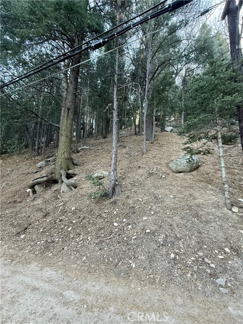 Detail Gallery Image 4 of 25 For 0 Scenic View, Crestline,  CA 92325 - – Beds | – Baths