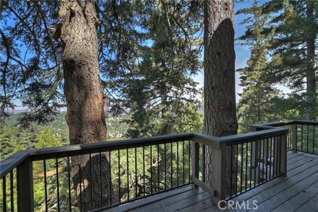 Detail Gallery Image 28 of 35 For 24044 Skyland Dr, Crestline,  CA 92325 - 3 Beds | 1/1 Baths