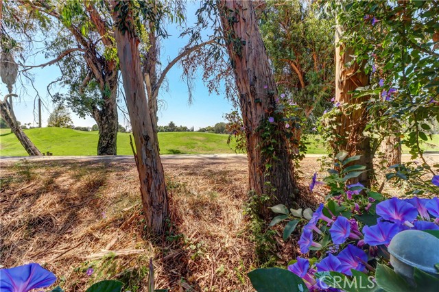 Image 41 of 47 For 2510 Alona Street