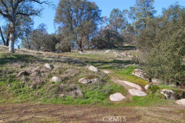 Detail Gallery Image 21 of 24 For 0 6.48 Ac Long Hollow Dr, Coarsegold,  CA 93614 - – Beds | – Baths