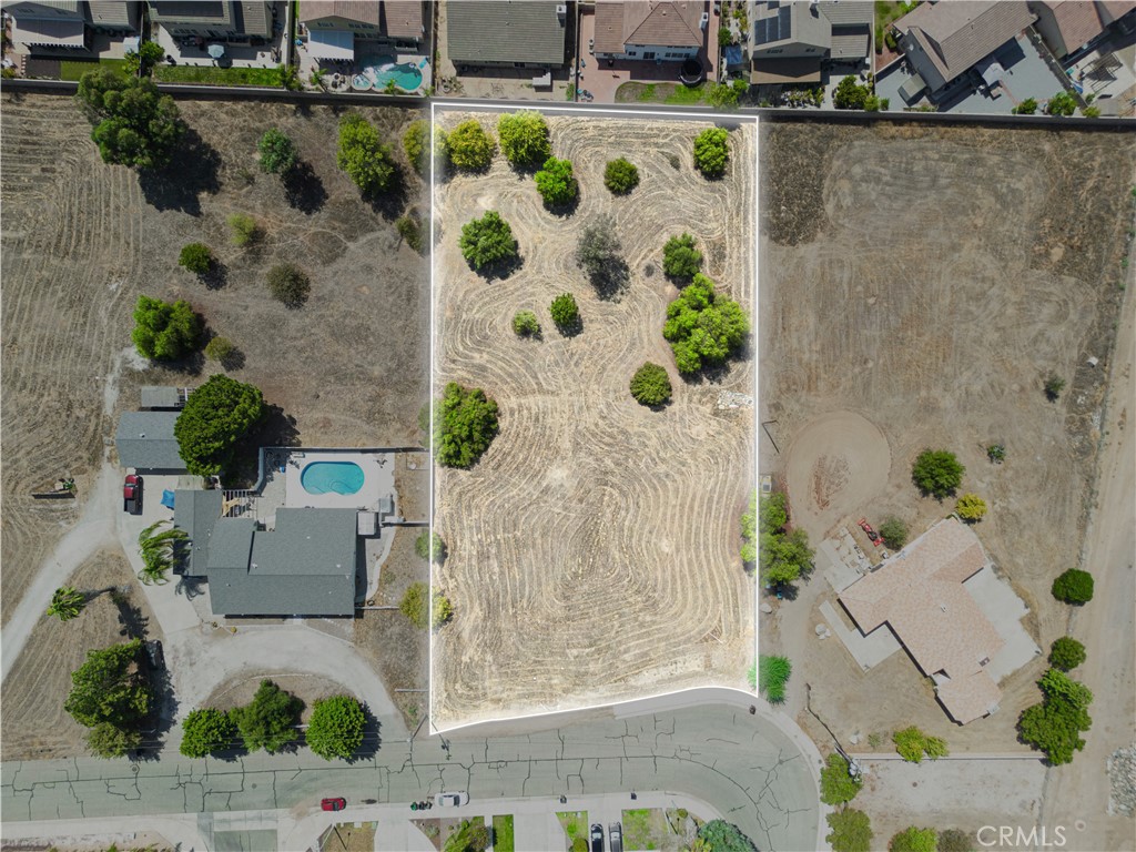 MLS #SW25175331 image #3
