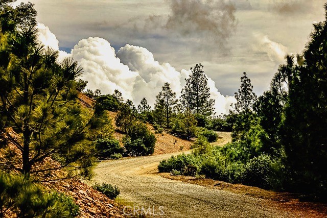 Detail Gallery Image 51 of 72 For 5333 Wilderness View Dr, Mariposa,  CA 95338 - 2 Beds | 2 Baths