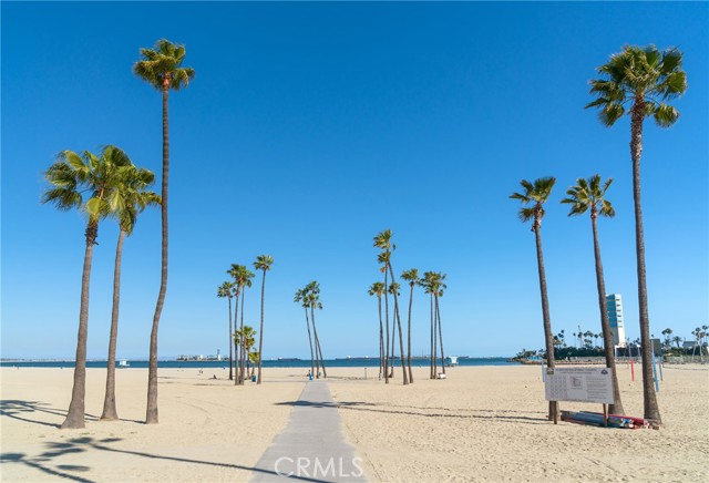 Detail Gallery Image 38 of 39 For 207 Mira Mar Ave, Long Beach,  CA 90803 - – Beds | – Baths