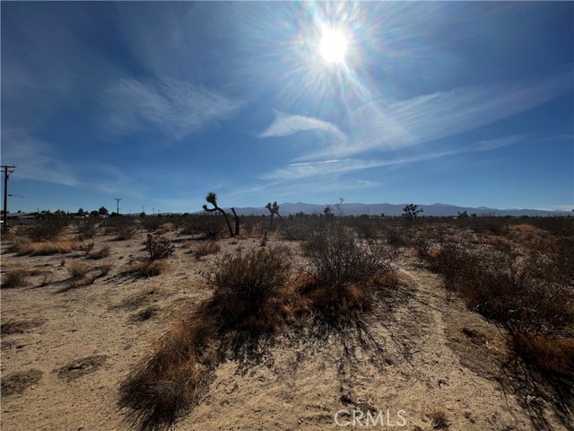 0 Ailanthus St, Phelan, California 92371, ,Land,For Sale,0 Ailanthus St,CRCV22234484