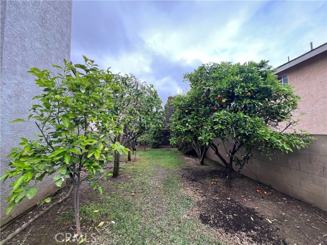 4356 Richwood Avenue, El Monte CA: https://media.crmls.org/medias/5ee29252-ca72-4a1a-93ae-947f7ebaea51.jpg