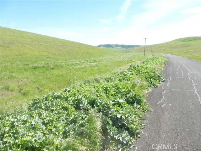 Detail Gallery Image 10 of 27 For 0 Douglas Rd. (Lot 41), San Miguel,  CA 93451 - – Beds | – Baths