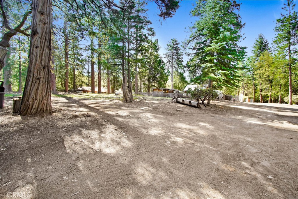 MLS #SW25029303 img 4
