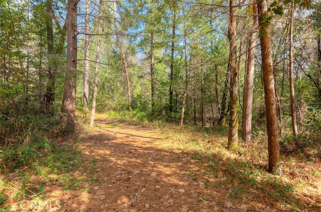 Detail Gallery Image 39 of 52 For 712 Bloomer Hill, Berry Creek,  CA 95916 - 2 Beds | 1/1 Baths