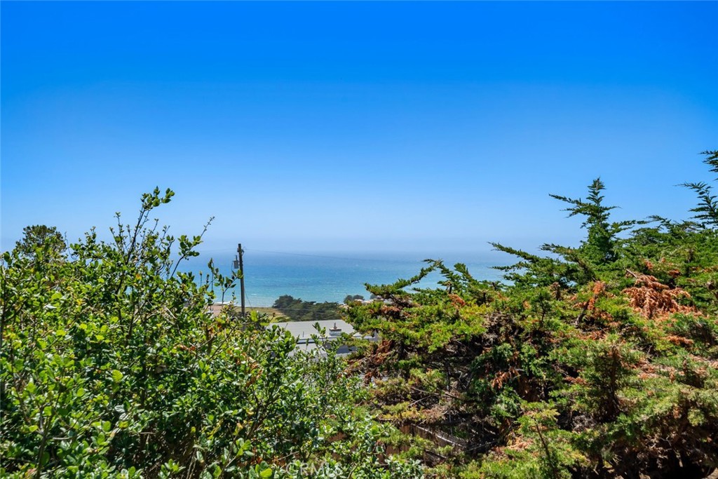 https://media.crmls.org/medias/5ef76b6b-be77-473b-86d9-72546fa45d16.jpg?preset=X-Large