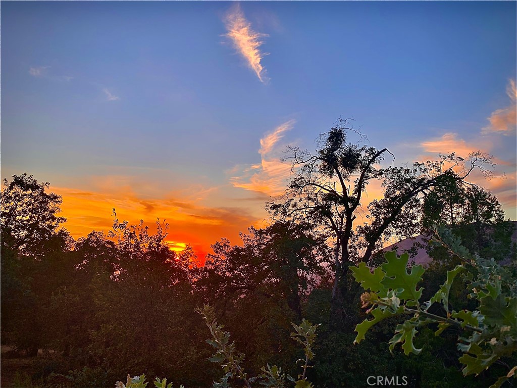https://media.crmls.org/medias/5f01d044-8355-49df-b418-db1424d0f1e7.jpg?preset=X-Large